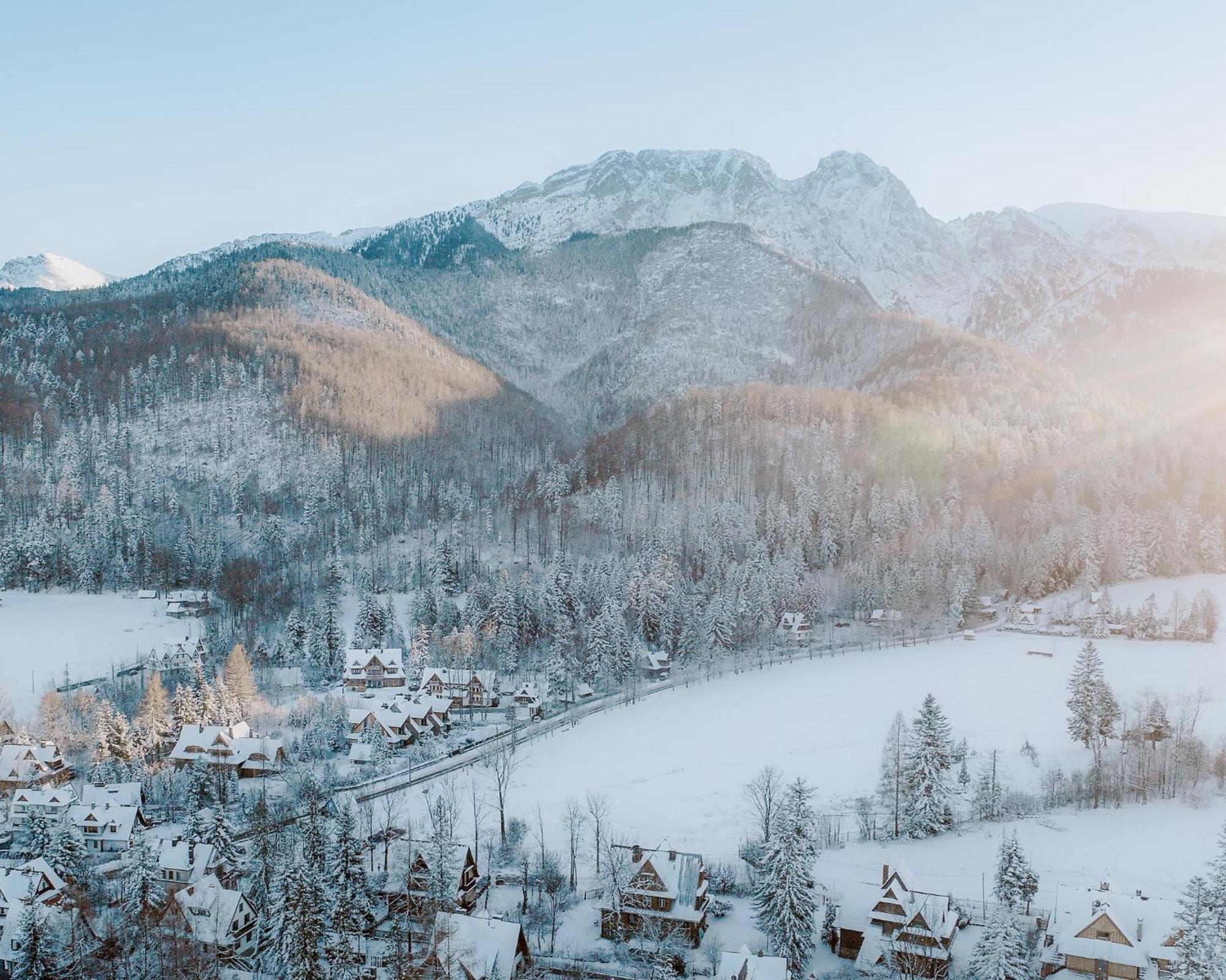 Bed and Breakfast Stary Niedzwiedz à Zakopane Extérieur photo