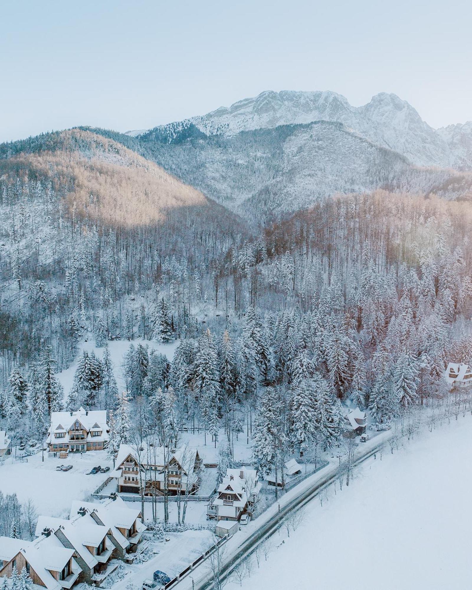 Bed and Breakfast Stary Niedzwiedz à Zakopane Extérieur photo